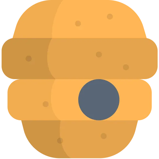 VidBee  Icon